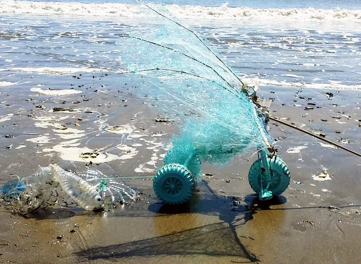 beth_elliott_HybirdSeabrid