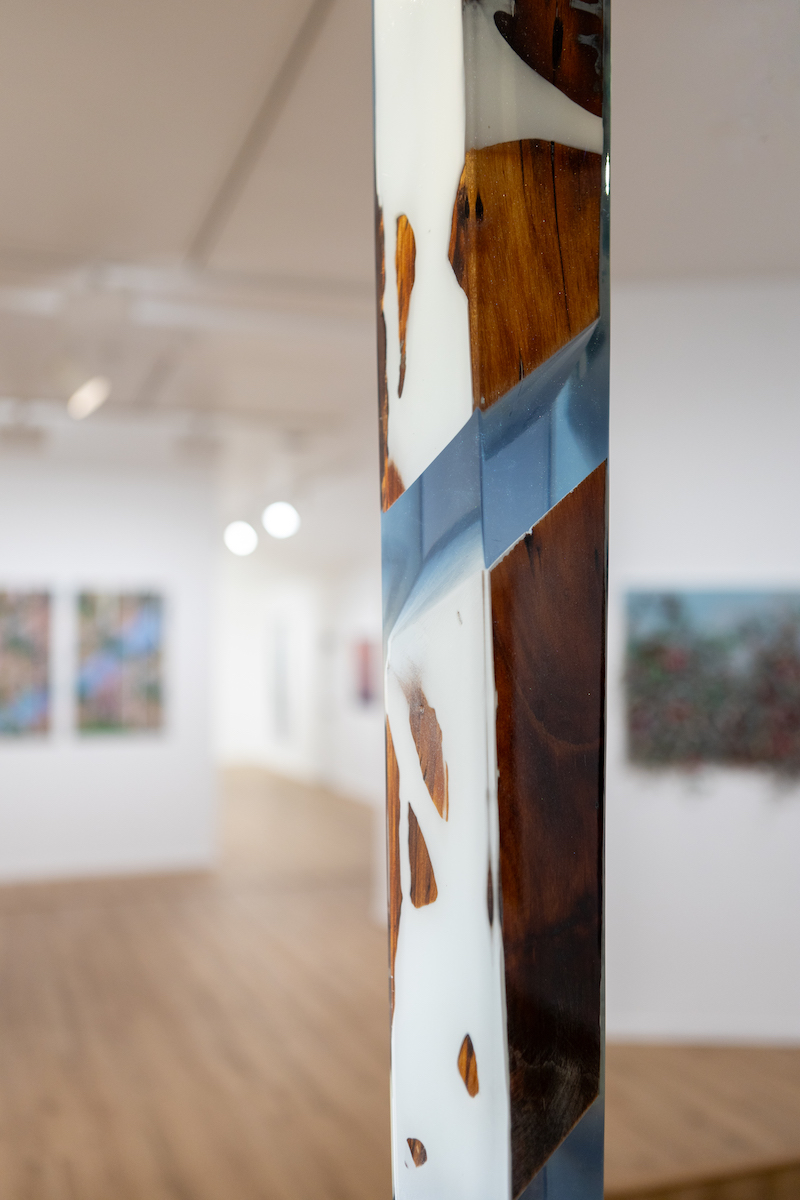 BlueBirds_agcc_gallery